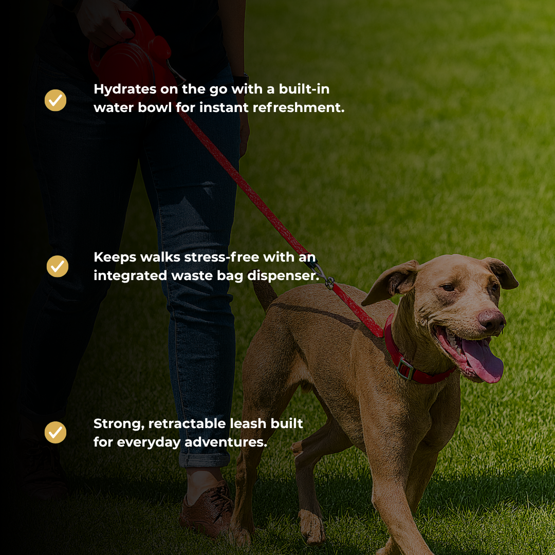 TrekPup – The All-In-One Dog Walking Leash