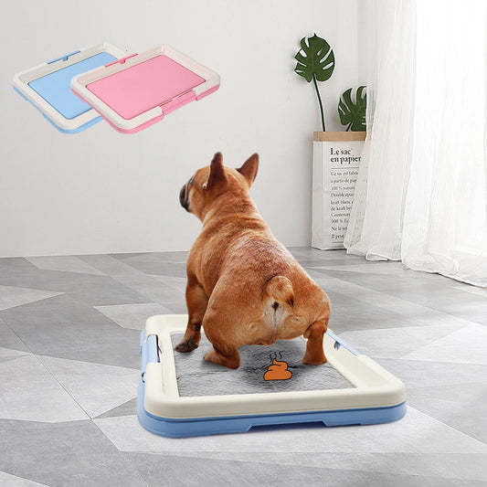 PawLoo – Indoor Pet Potty Tray