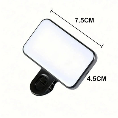 Mini LED Clip-On Light