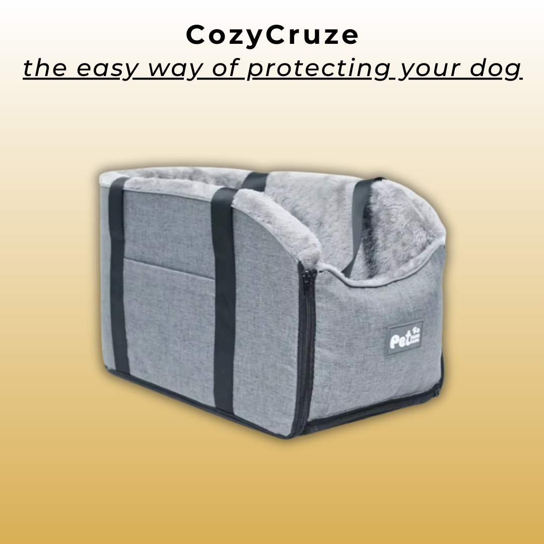 CozyCruze