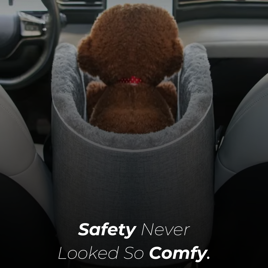 CozyCruze