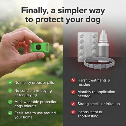 PetShield 12 Months Flea and Tick Free